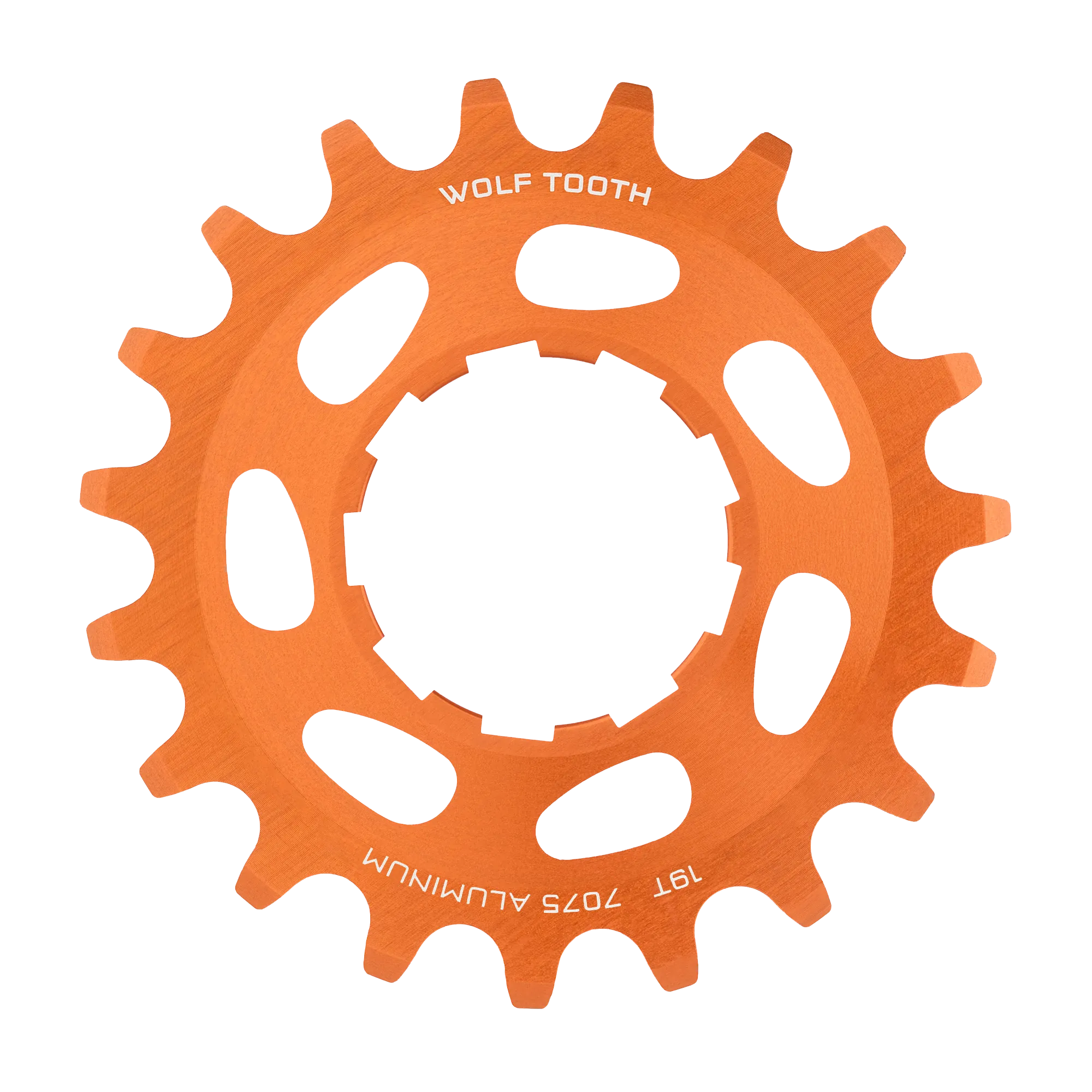 Aluminum Single Speed Cog - Image 13